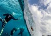 2015’te GoPro ile çekilmiş en iyi 15 fotoğraf